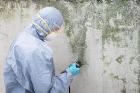 Asbestos and Lead Testing During Mold Inspection in Glen Burnie, MD